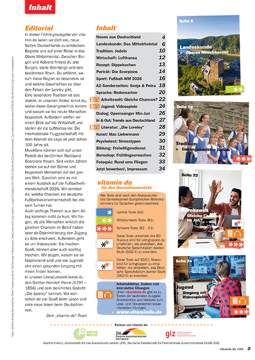 vde108 Inhaltsverzeichnis