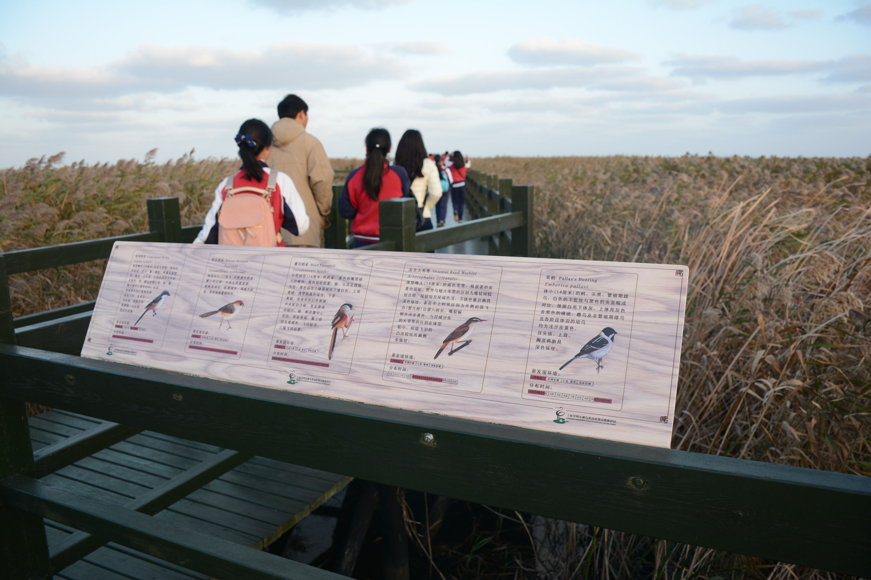 Schülerausflug auf die Insel Chongming Dao