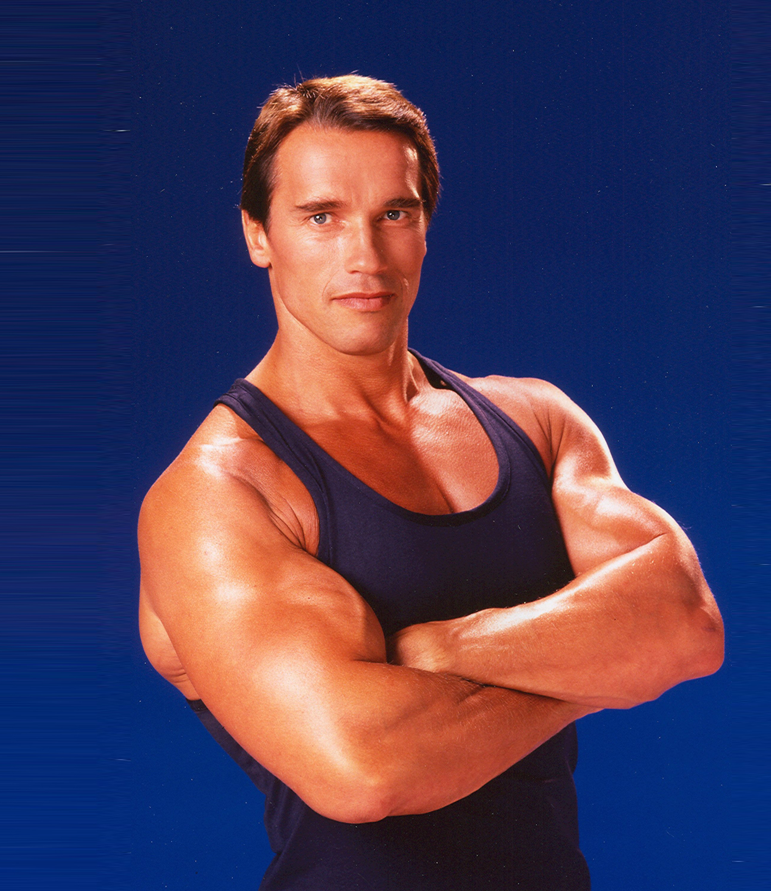 https://www.vitaminde.de/images/stories/vitaminde/ausgaben/vde79/Aufmacher_Arnold_Schwarzenegger_Foto_wall.alphacoders.com41.jpg